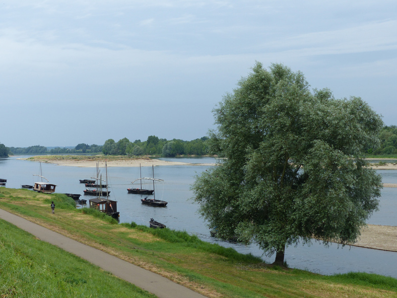 Loire in Chaumont-sur-Loire, loir-et-Cher